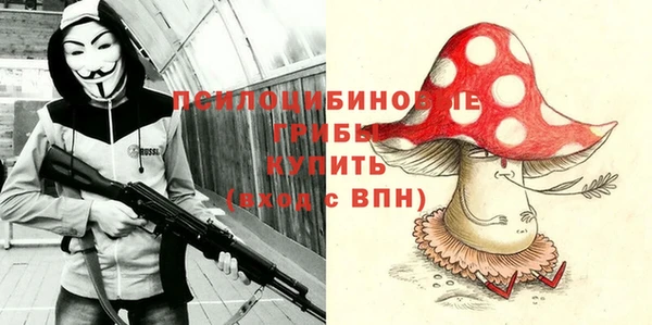 гидропоника Кодинск