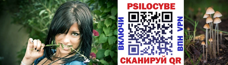 Галлюциногенные грибы Psilocybe  Купить  Минеральные Воды 