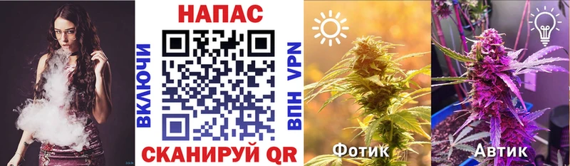 МАРИХУАНА Ganja  Купить где  Минеральные Воды 